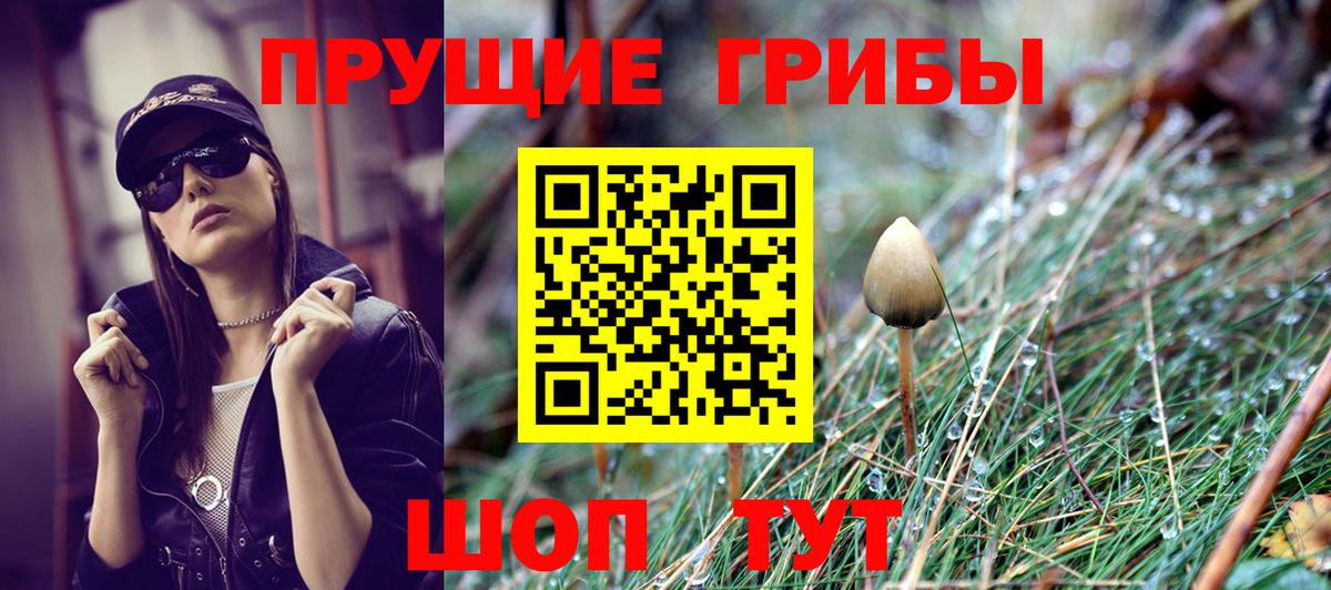Псилоцибиновые грибы MAGIC MUSHROOMS  Вход с VPN  Пыть-Ях 